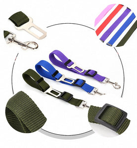 Safe Buckle™ Dog Leash | FREE TODAY
