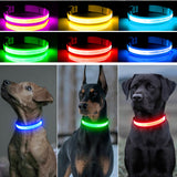 PupSafe™ LED Dog Collar - FREE TODAY