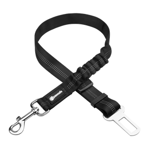Safe Buckle™ Dog Leash - FREE TODAY
