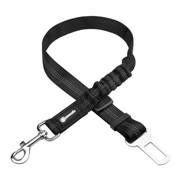 Safe Buckle™ Dog Leash - FREE TODAY